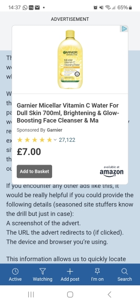 Huge adverts making site unusable