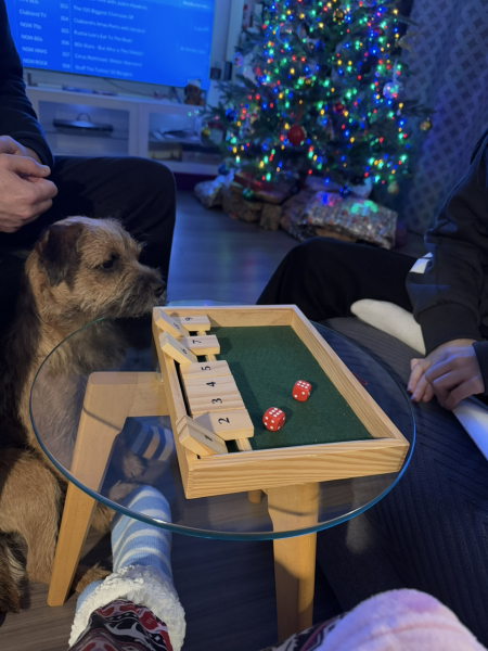 Christmas dog of the month: Share your festive dog photos & win a £100 prize bundle!