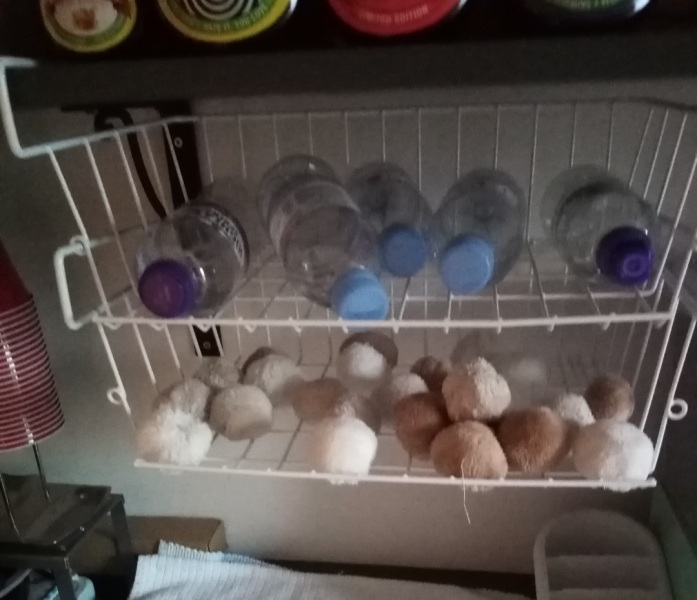 The Bluestocking - the one with the Christmas stocking