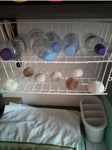 The Bluestocking - the one with the Christmas stocking