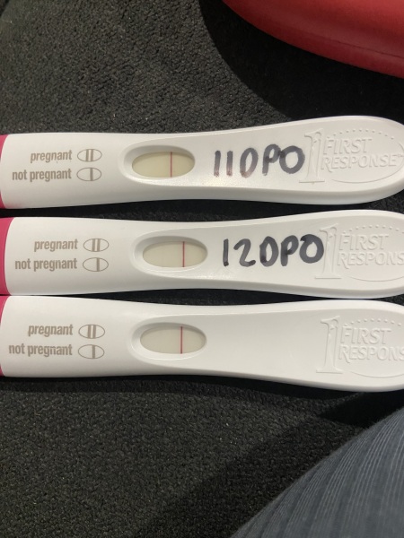 Line progression 11 dpo to 13dpo