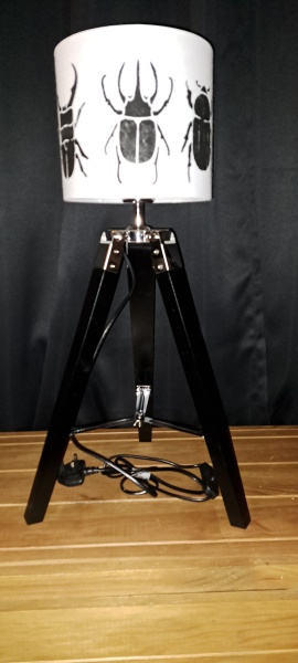 The Bluestocking - the one with the Christmas stocking