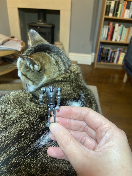 General “Waifs and Strays” Beauty Advent Calendar opening thread 2024