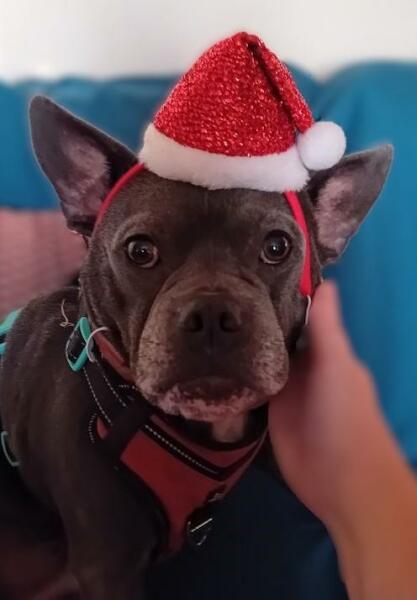 The Continuing Support Thread for Anyone Trying to Lead an Alcohol-Free Life Winter 2024