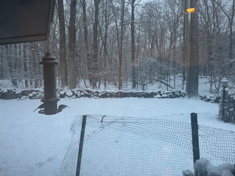 Come and tell us your dull and unexciting news 32: Calmly through the day