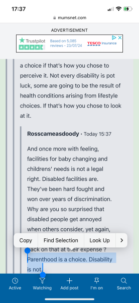 To be annoyed at being told to be considerate of disabled people