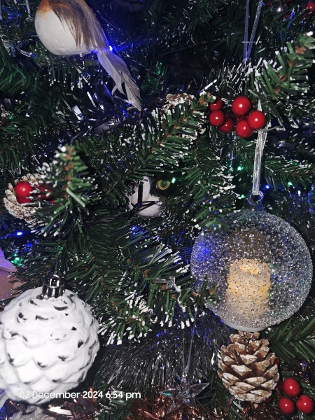 Cat and Christmas Tree
