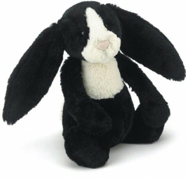 Lost bunny 😢Anyone live near Edinburgh Waverley station or work for LNER? Lost bunny 😢