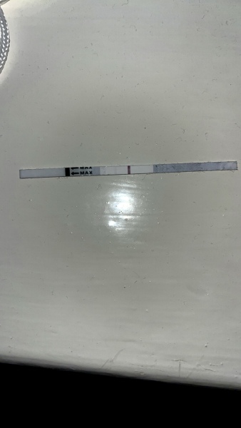 Is this an evap line