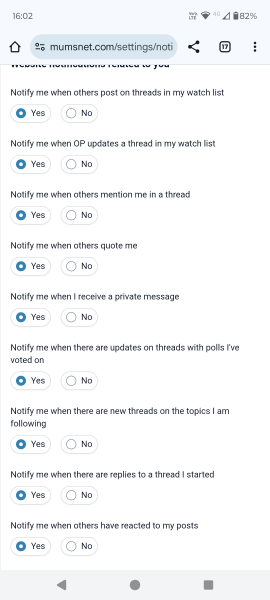 The Bluestocking - the one with the Christmas stocking