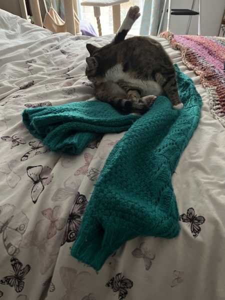 Tinsel, Glitter and Baubles - the Excellent Cats prepare to knock Everything off your Christmas Tree