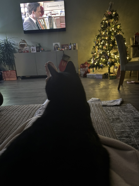 Christmas Miracle