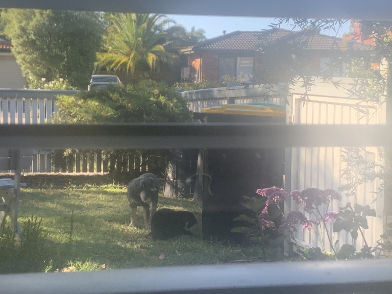 The Great Cancer Recovery part 3