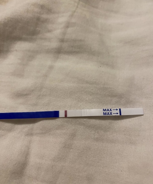 Clear blue test. Evap line or positive