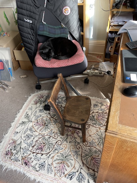 What perfectly ordinary places have you found your cat?