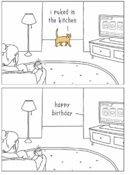Cat has weed on Christmas presents