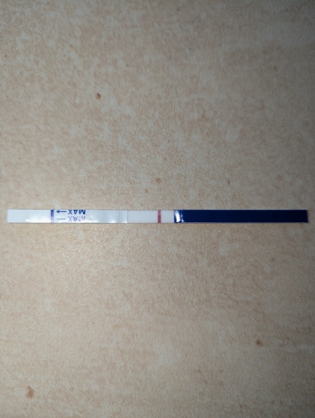 Line eyes? No idea when ovulated