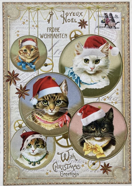 Tinsel, Glitter and Baubles - the Excellent Cats prepare to knock Everything off your Christmas Tree