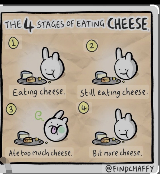 Damn you christmas cheese…!