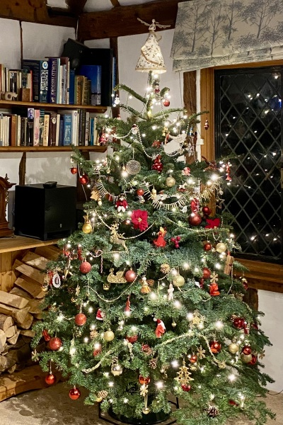 Show us your Christmas trees