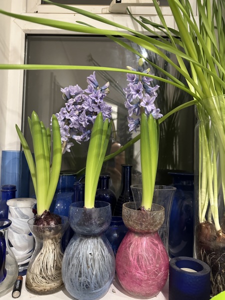 The Nigel Slater Christmas Chronicles Readalong 2024 Part 3