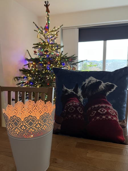 The Nigel Slater Christmas Chronicles Readalong 2024 Part 2