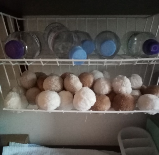 The Bluestocking - the one with the Christmas stocking