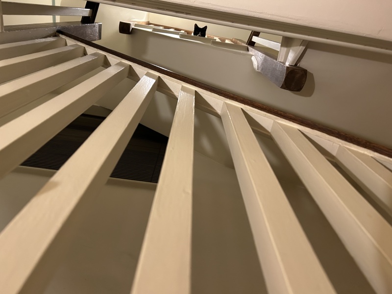 Tinsel, Glitter and Baubles - the Excellent Cats prepare to knock Everything off your Christmas Tree