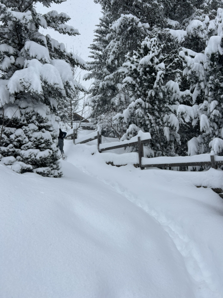 Snowy Christmas without skiing