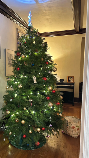 Daily Project Round 6