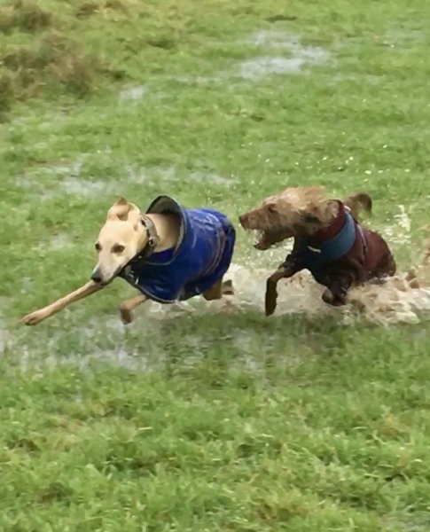 People who drop out of life