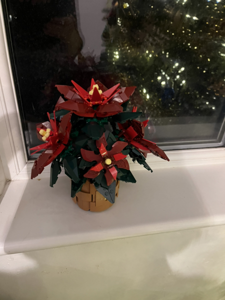 Poncetastic Christmas 2024