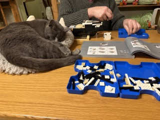 To show me your Lego collection?