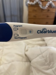 Potentially pregnant or line eyes