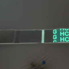 December TTC Support Group