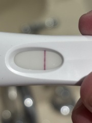 December TTC Support Group (pt2)