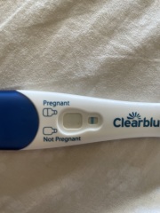 Potentially pregnant or line eyes