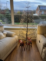 The Christmas trees in next window.