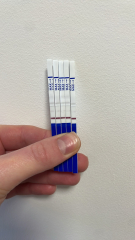 Experiences/Opinions on One Step Preg Tests?