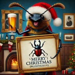 The Bluestocking - the one with the Christmas stocking