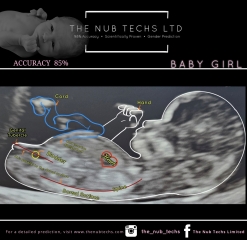 “Confirmed” nub theories