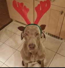 Mounjaro August starters thread 9 (OMG)