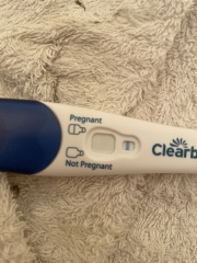 Potentially pregnant or line eyes