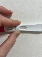 Experiences/Opinions on One Step Preg Tests?