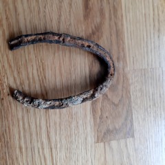 Can anyone age this horseshoe?