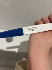 TTC December 2024 🩷✨