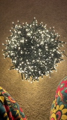 Vintage looking fairy lights