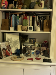 What perfectly ordinary places have you found your cat?