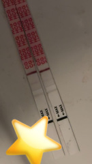 Evap lines / indents?