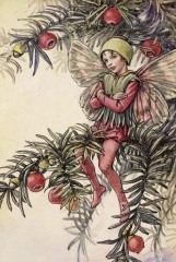 4 year old son has asked for fairy wings and wand for Christmas